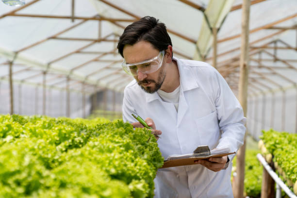 Agriculture Academician/Researcher