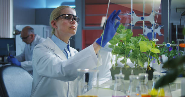 Junior Research Assistant