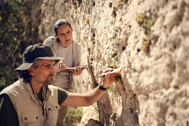 Paleontology Research Director