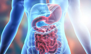 Digestion and Detoxification (Short Course)