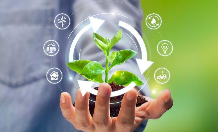 Sustainability Practices & Green Skills for Teens