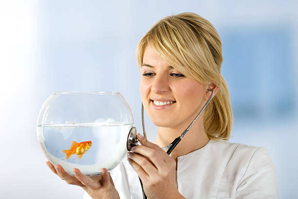 Career illustration for Aquatic Veterinarian
