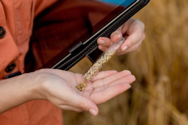 Seed Technologist or Agronomist