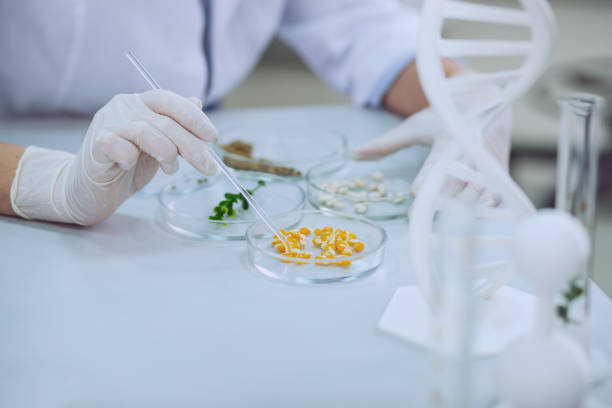 Crop Genomics Scientist