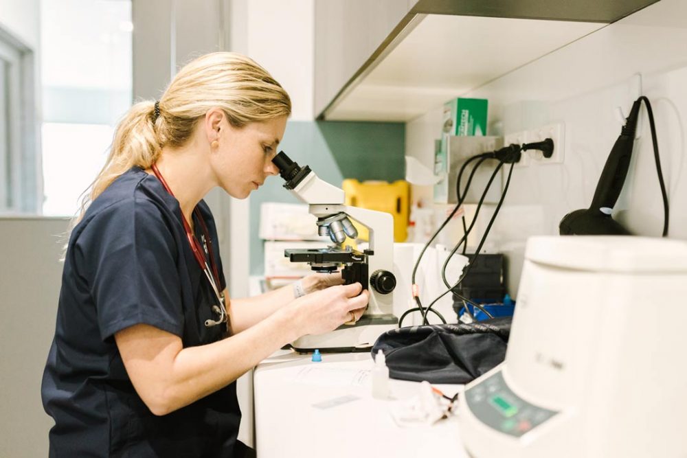 Junior Veterinary Pathologist