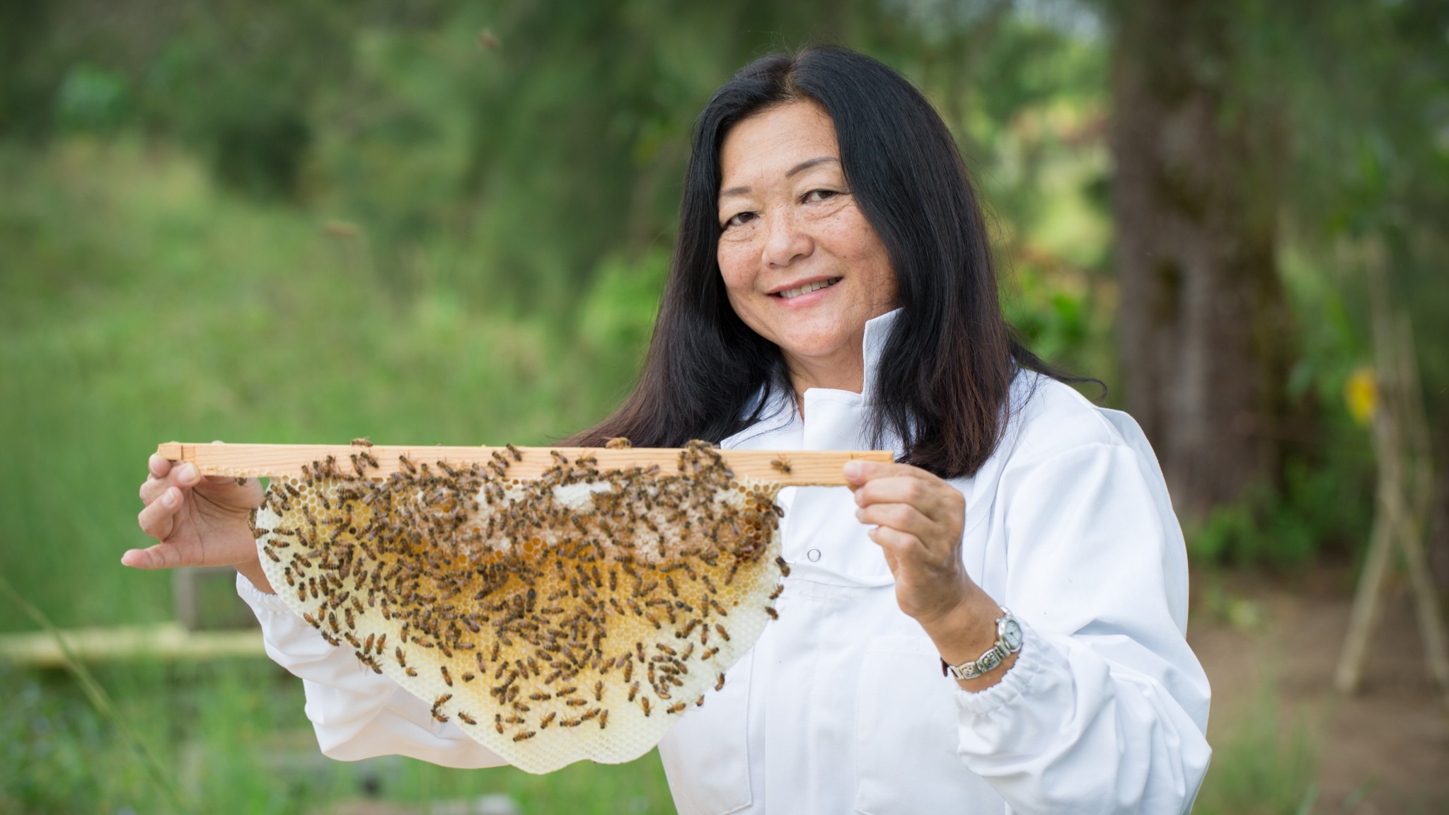 Global Entomology Expert