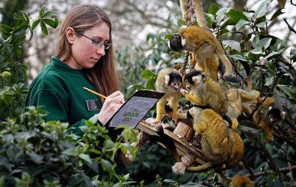 Ethology Research Scientist