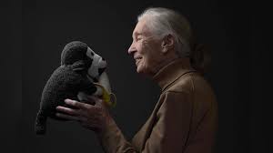 Global Ethology Expert