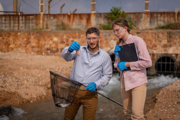 Fisheries Consultant