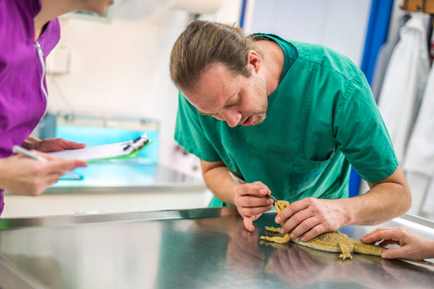 Senior Aquatic Veterinarian