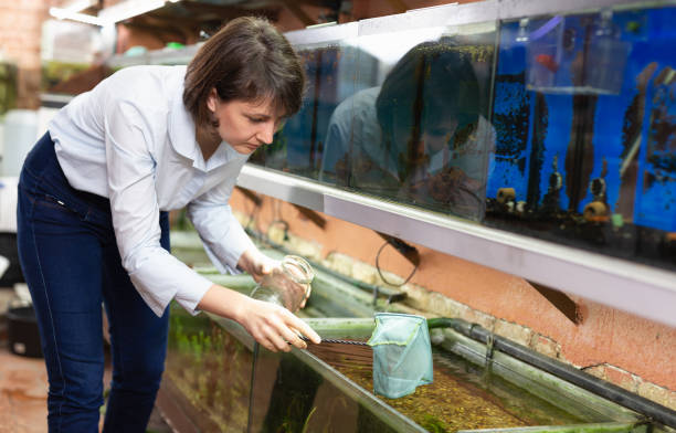 Aquatic Veterinary Specialist