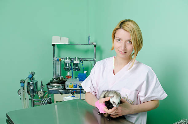 Wildlife/Zoo Veterinarian