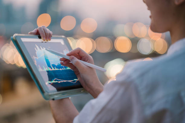 Compliance Auditor (Specialized Role)