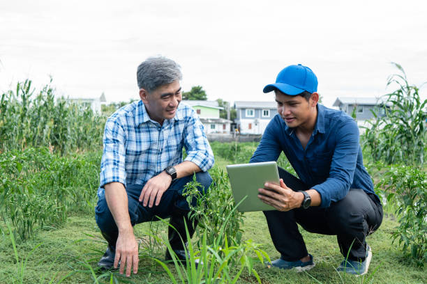 Junior Agriculture Technician