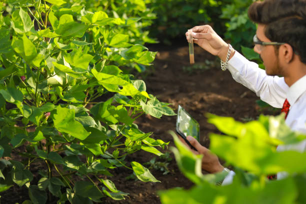 Agricultural Researcher