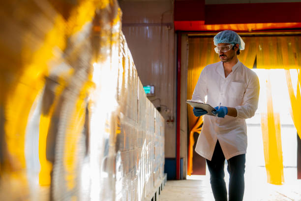 Junior Food Process Engineer